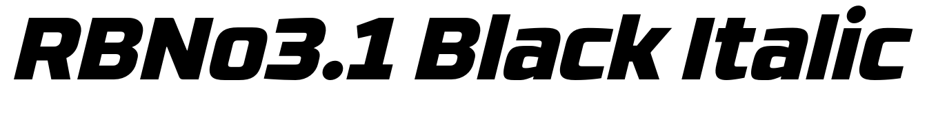 RBNo3.1 Black Italic